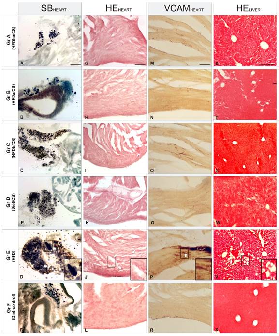 Int J Med Sci Image