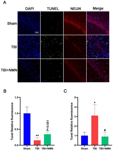 Int J Med Sci Image