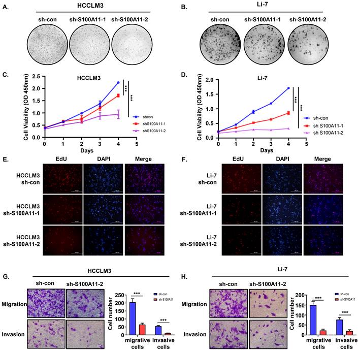 Int J Med Sci Image