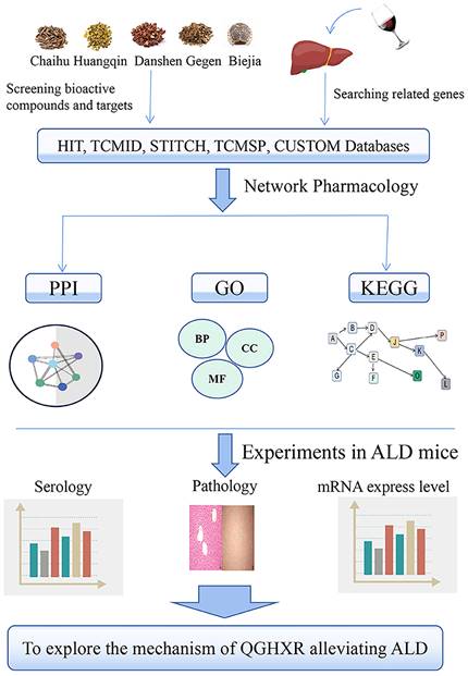 Int J Med Sci Image