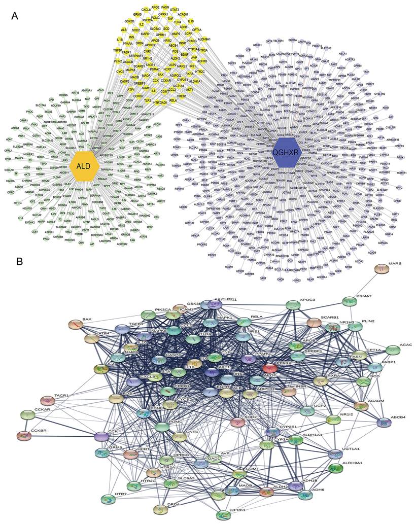 Int J Med Sci Image