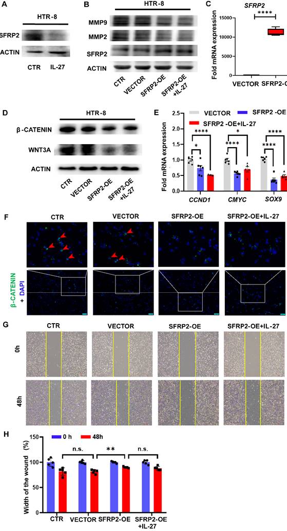 Int J Med Sci Image