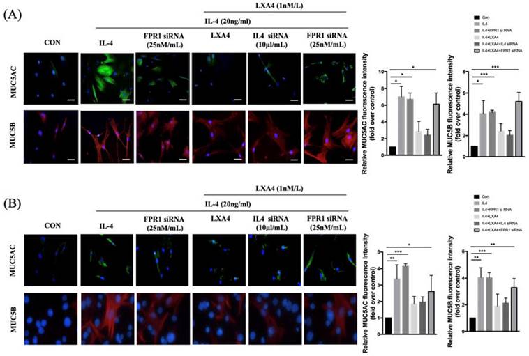 Int J Med Sci Image