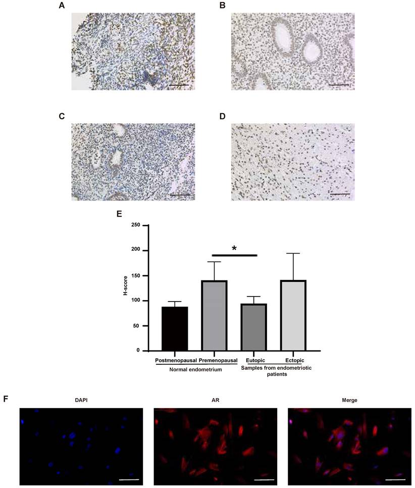 Int J Med Sci Image