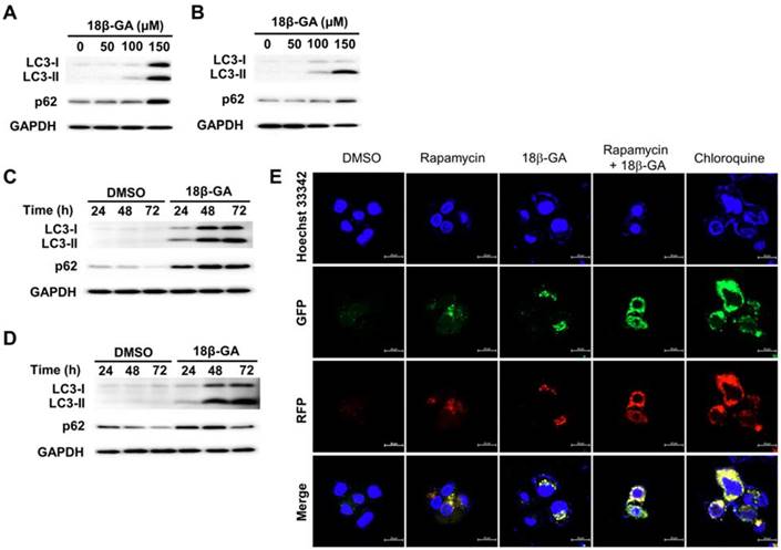 Int J Med Sci Image