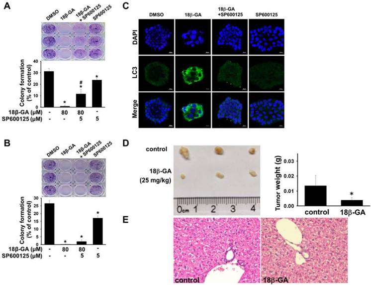 Int J Med Sci Image