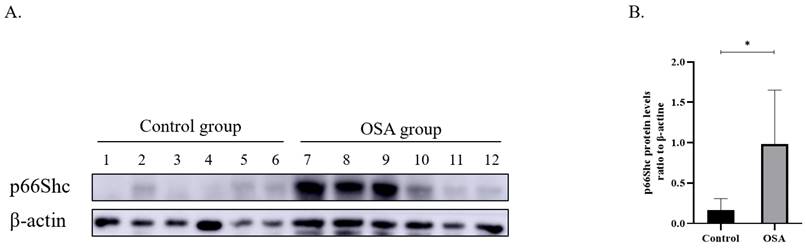 Int J Med Sci Image