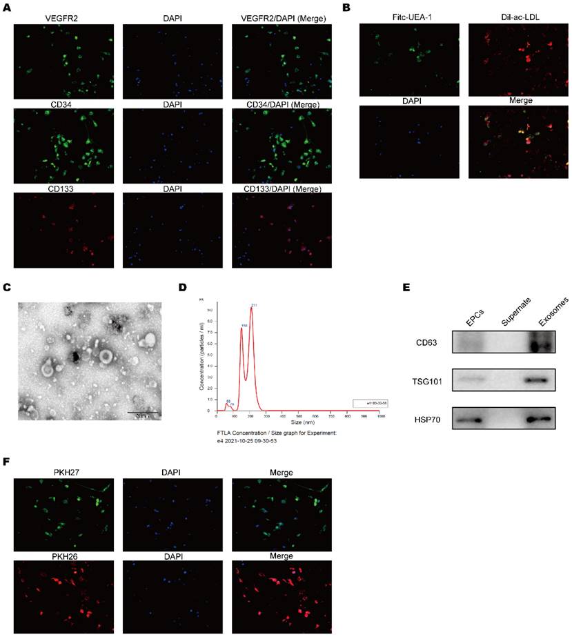 Int J Med Sci Image