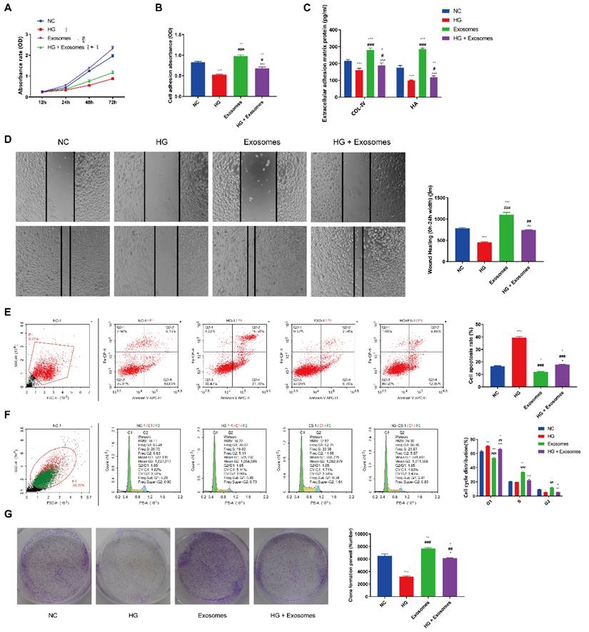 Int J Med Sci Image