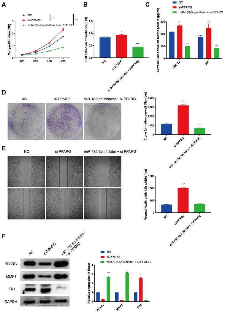 Int J Med Sci Image