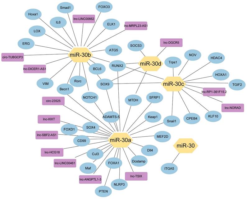 Int J Med Sci Image