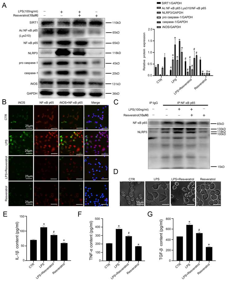 Int J Med Sci Image