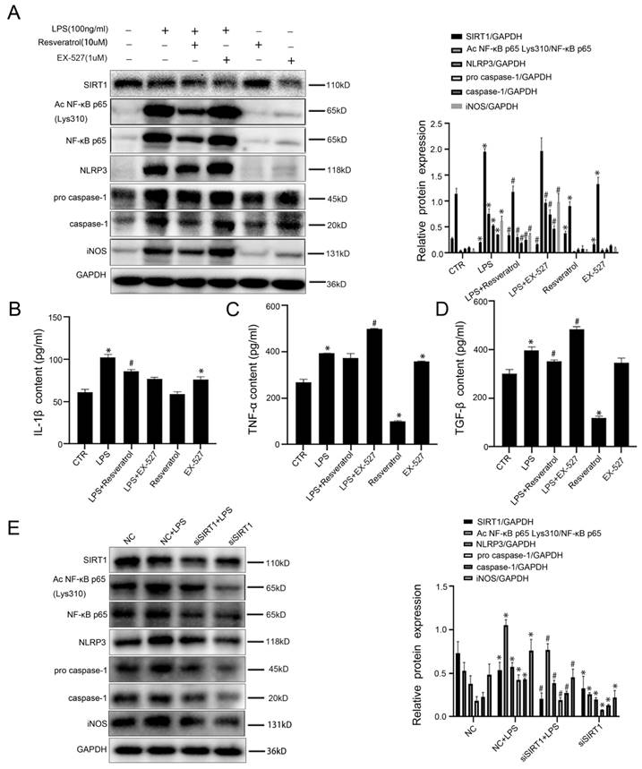 Int J Med Sci Image