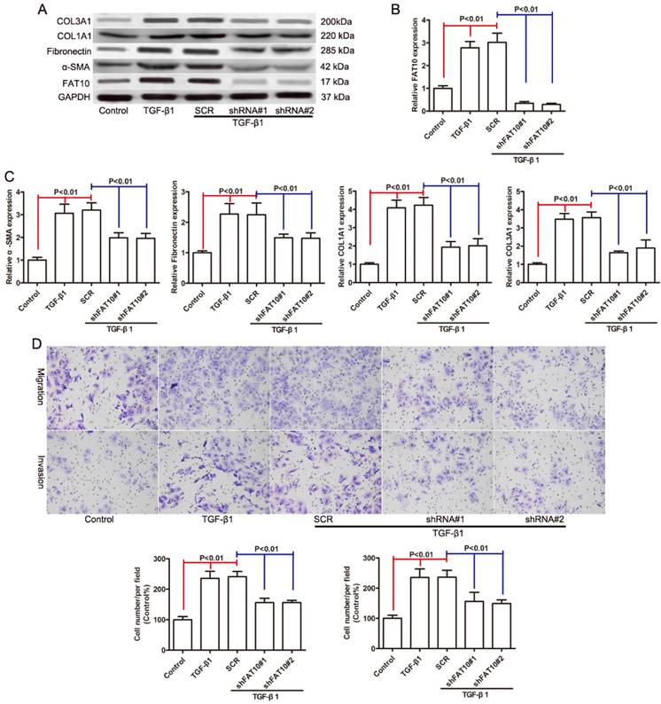 Int J Med Sci Image