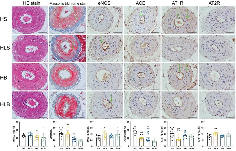 Int J Med Sci Image