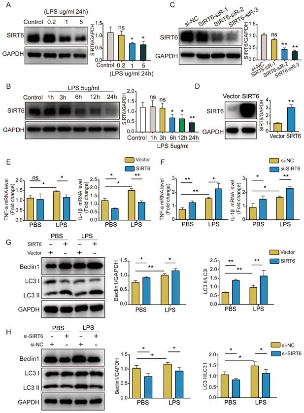 Int J Med Sci Image