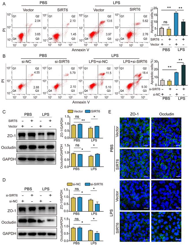 Int J Med Sci Image