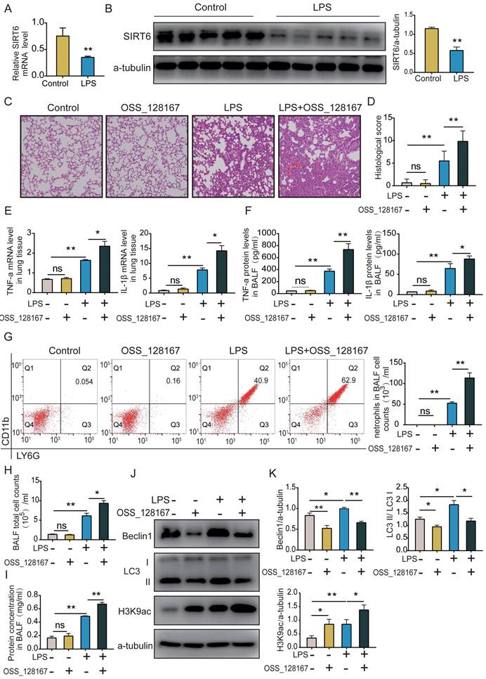 Int J Med Sci Image