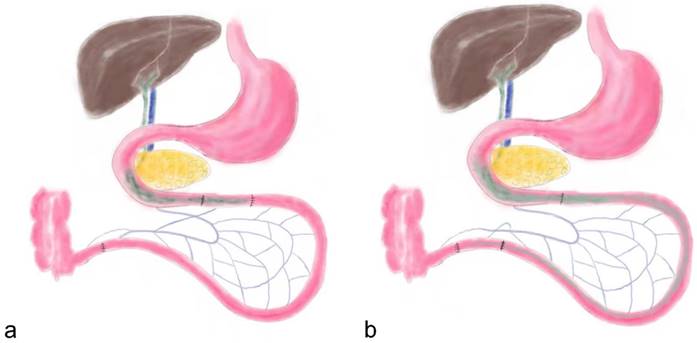 Int J Med Sci Image