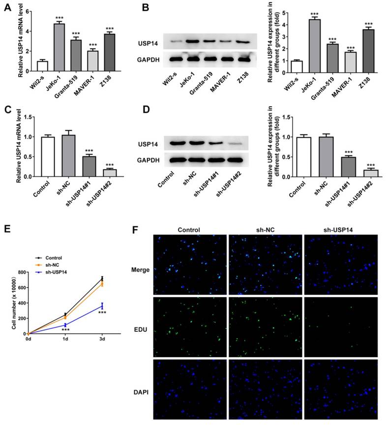 Int J Med Sci Image