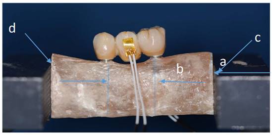 Int J Med Sci Image