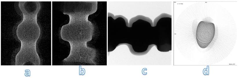 Int J Med Sci Image