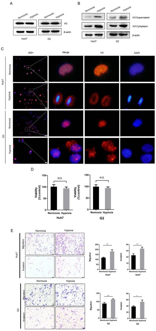 Int J Med Sci Image