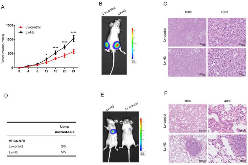 Int J Med Sci Image