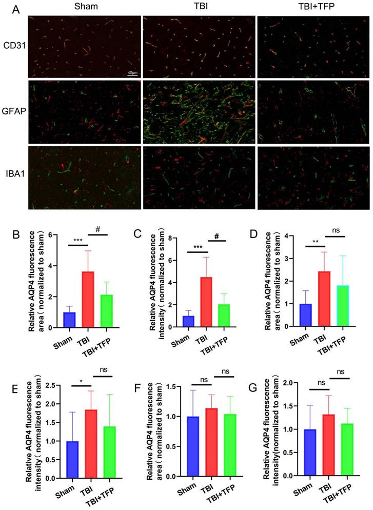 Int J Med Sci Image