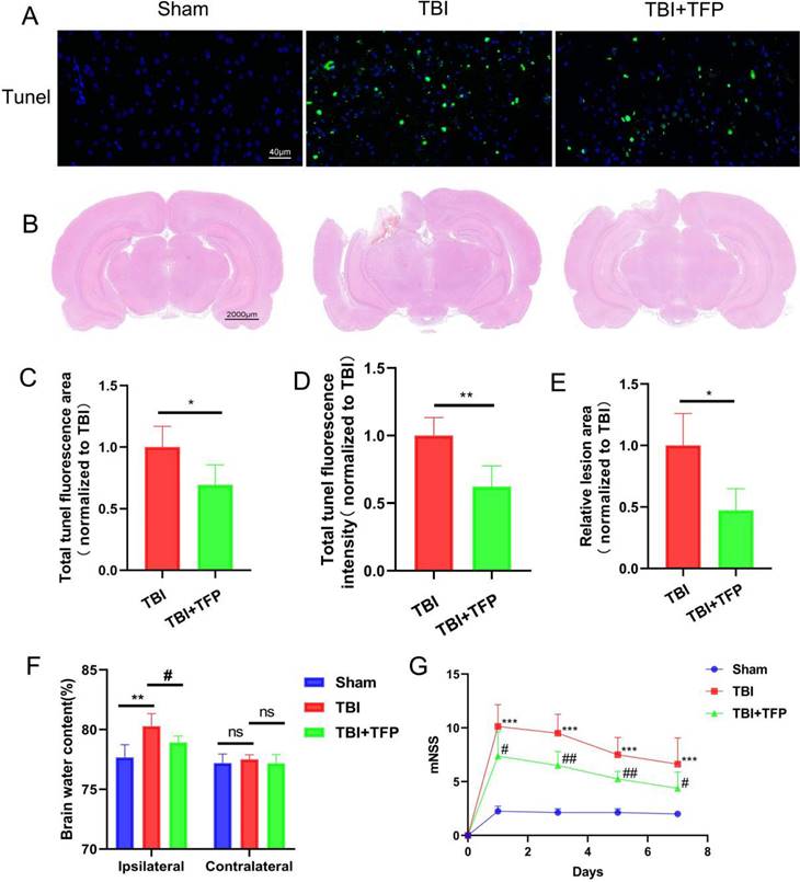 Int J Med Sci Image