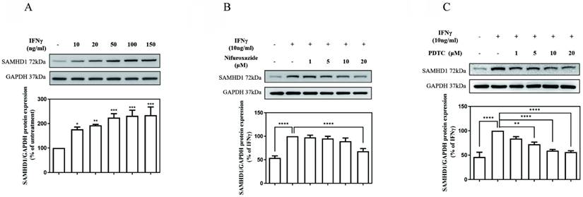 Int J Med Sci Image