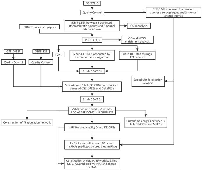 Int J Med Sci Image