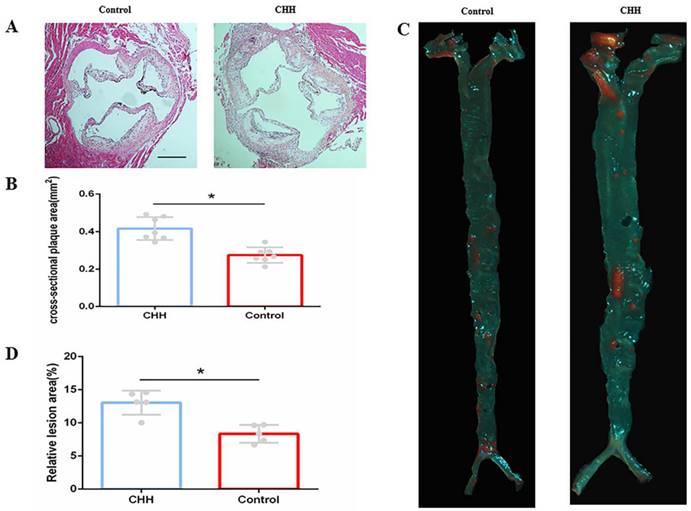 Int J Med Sci Image