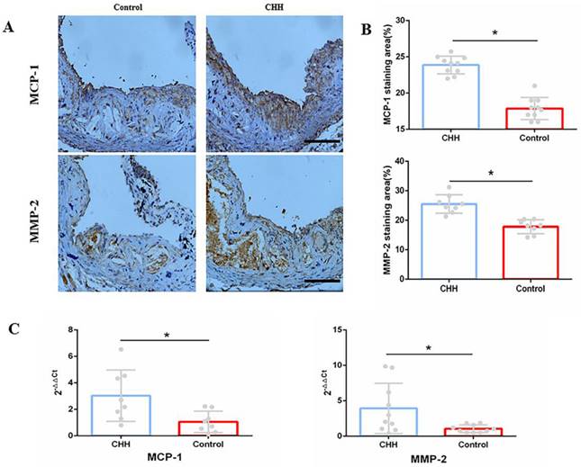 Int J Med Sci Image