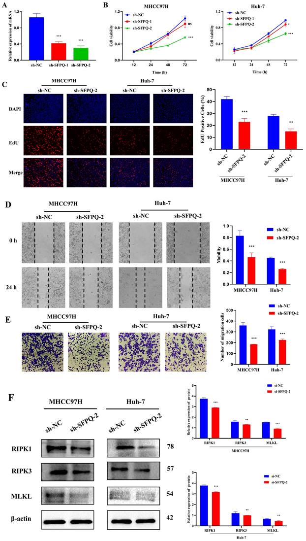 Int J Med Sci Image