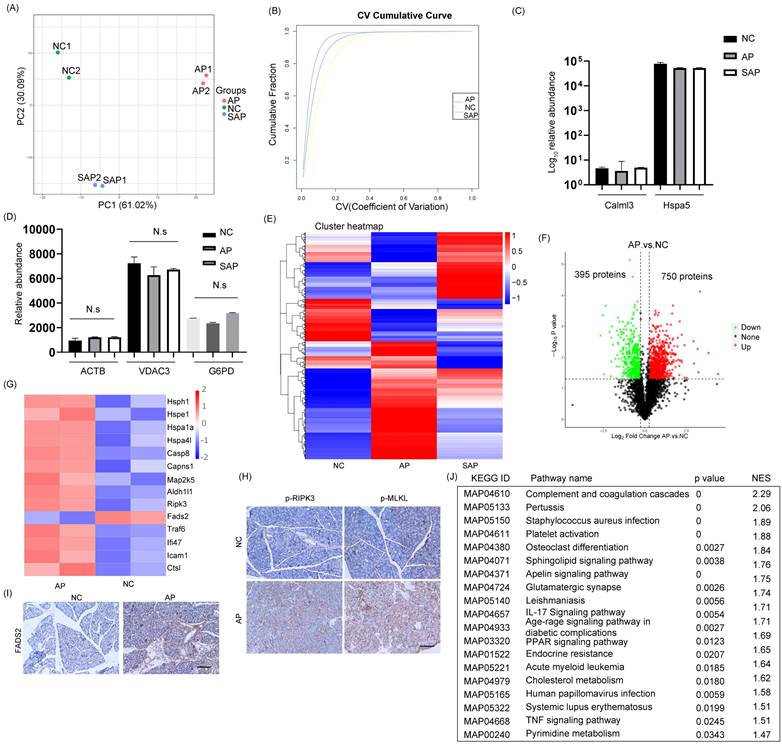 Int J Med Sci Image