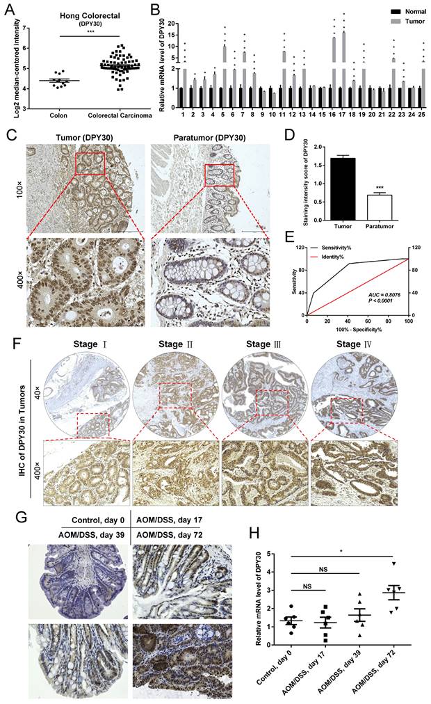 Int J Med Sci Image