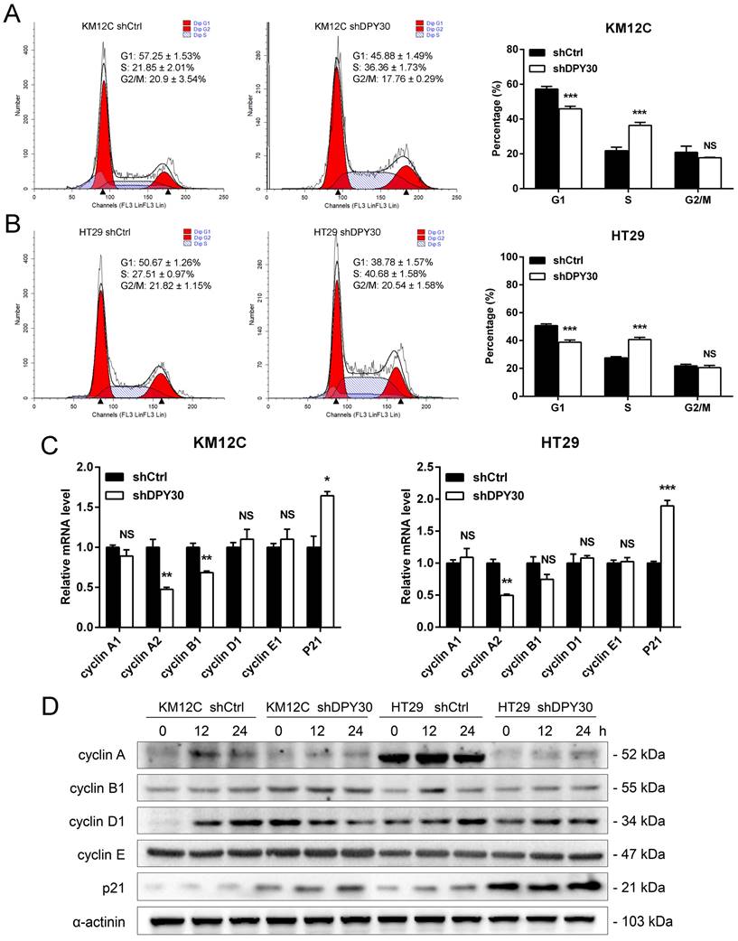 Int J Med Sci Image