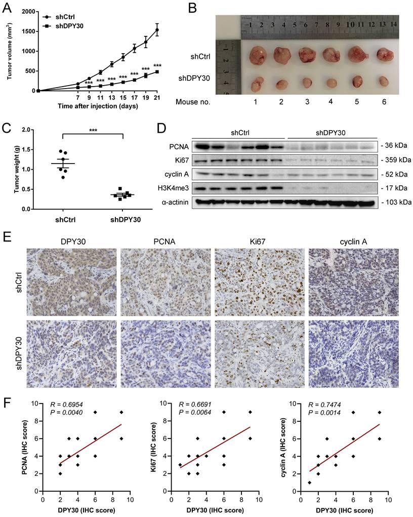 Int J Med Sci Image