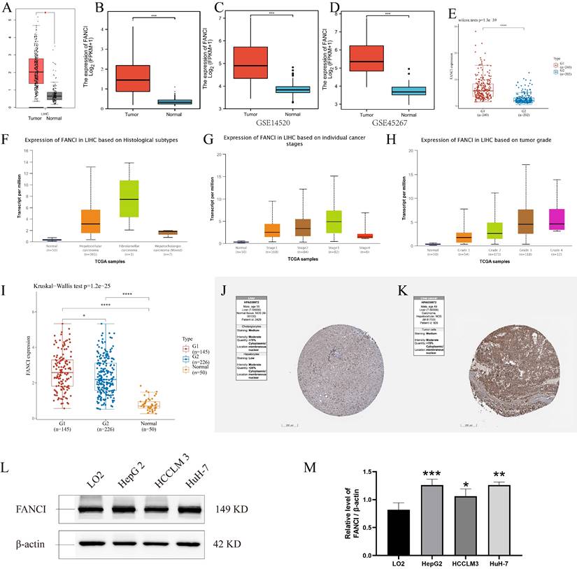 Int J Med Sci Image