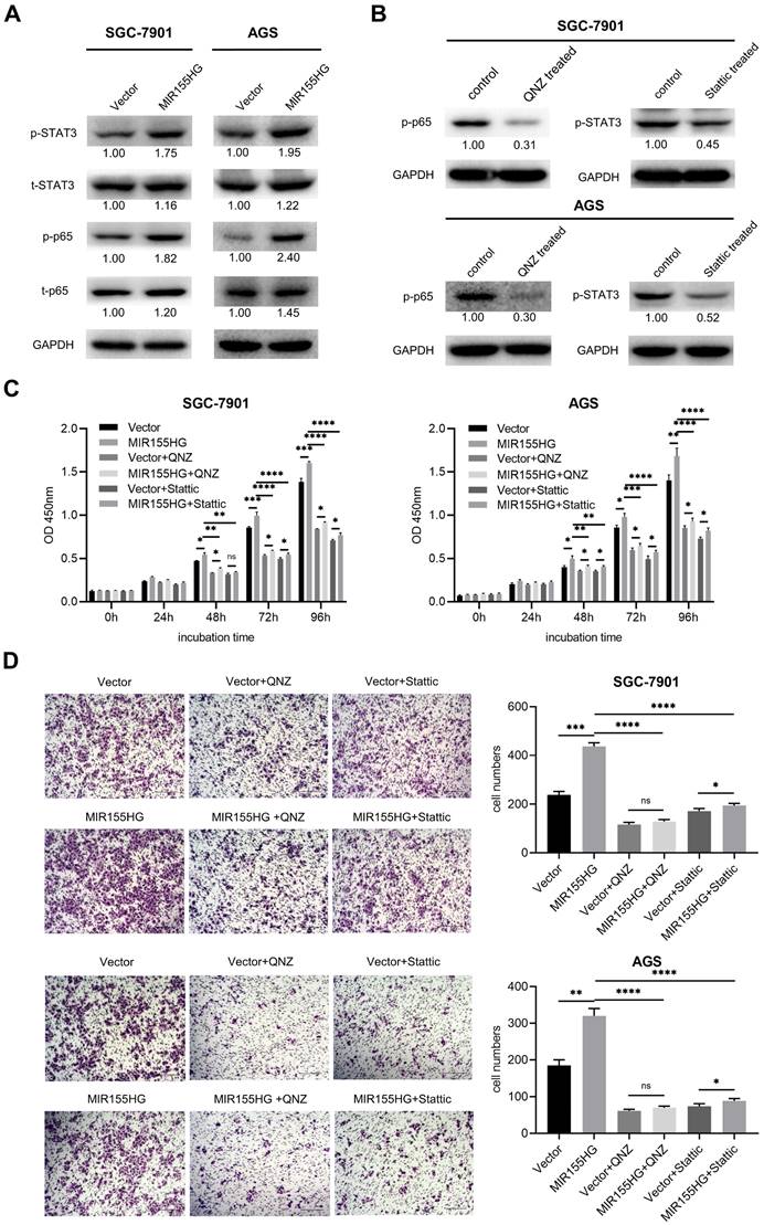 Int J Med Sci Image