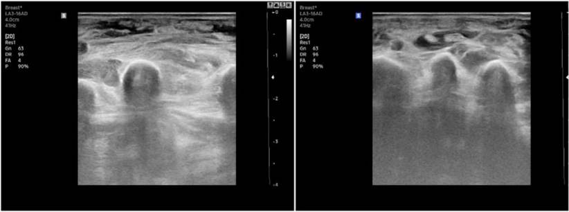 Int J Med Sci Image