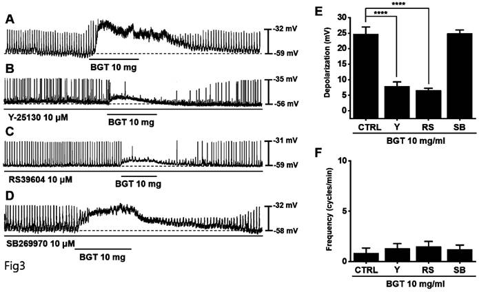 Int J Med Sci Image