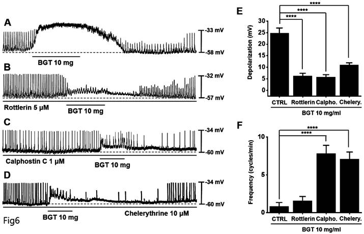 Int J Med Sci Image