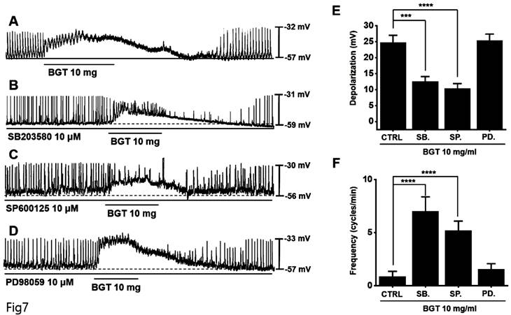 Int J Med Sci Image