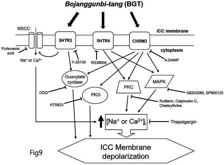 Int J Med Sci Image