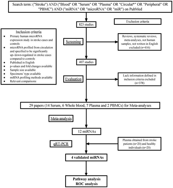 Int J Med Sci Image