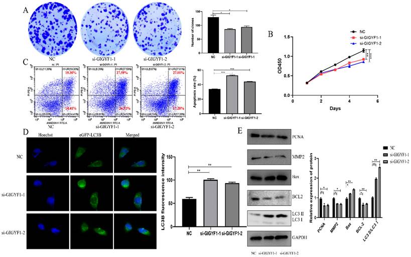 Int J Med Sci Image