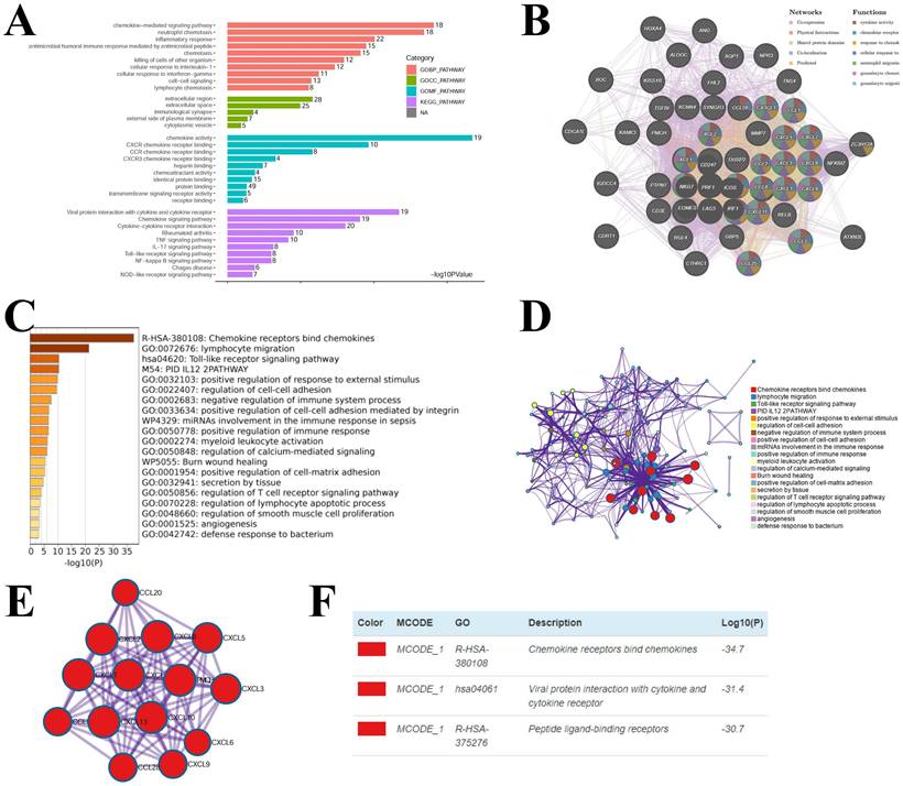 Int J Med Sci Image