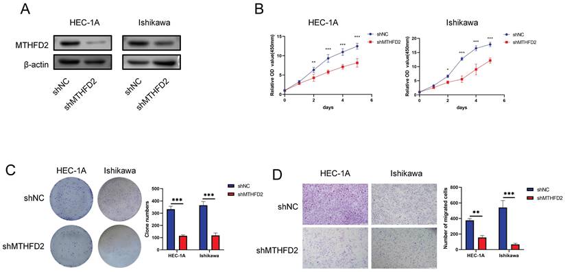 Int J Med Sci Image